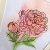 Акварель+графика 