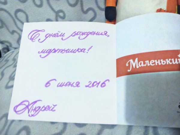 Мистер Лис