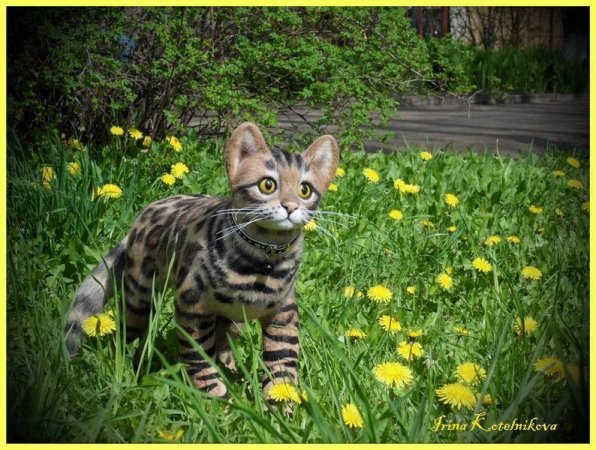 Бенгальский котик. игрушка из шерсти и ниток мохер.