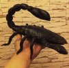 Авторская интерьерная мягкая игрушка ручной работы из натуральной кожи СКОРПИОН