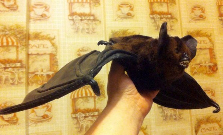 Авторская интерьерная игрушка ручной работы из натуральной кожи и меха норки ЛЕТУЧАЯ МЫШКА