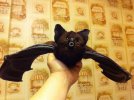 Авторская интерьерная игрушка ручной работы из натуральной кожи и меха норки ЛЕТУЧАЯ МЫШКА