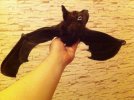 Авторская интерьерная игрушка ручной работы из натуральной кожи и меха норки ЛЕТУЧАЯ МЫШКА
