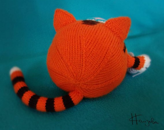 Кот 