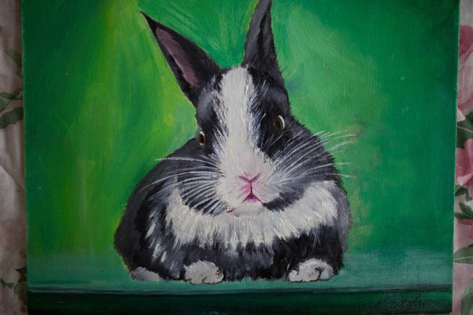 Картина маслом Кролик 31*25