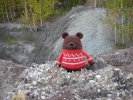 Вязанный гималайский медведь 