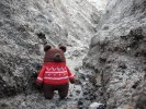 Вязанный гималайский медведь 