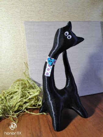 Черный кот