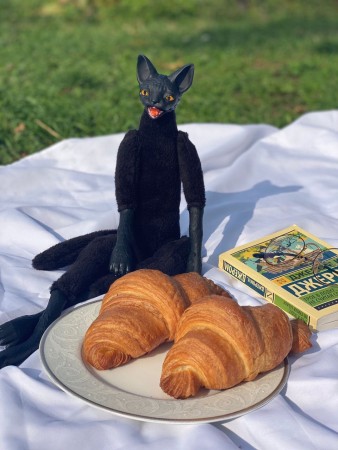 Превью Чёрный кот