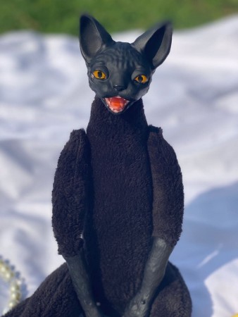 Чёрный кот