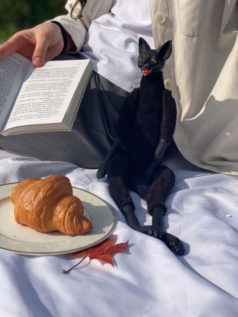 Чёрный кот