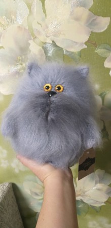 Кот Обормот