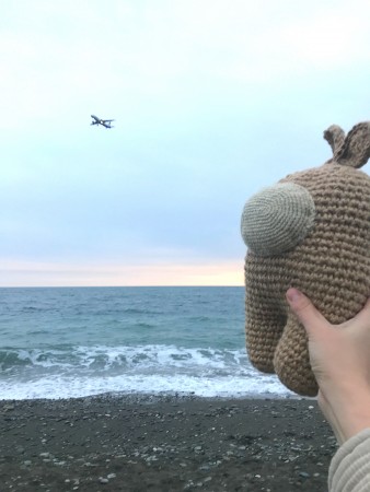 Амонг Ас большой
