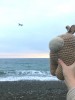 Амонг Ас большой