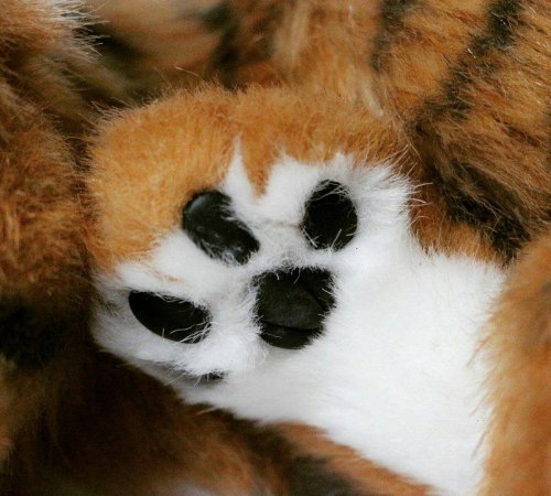 Teddy tiger Nolan