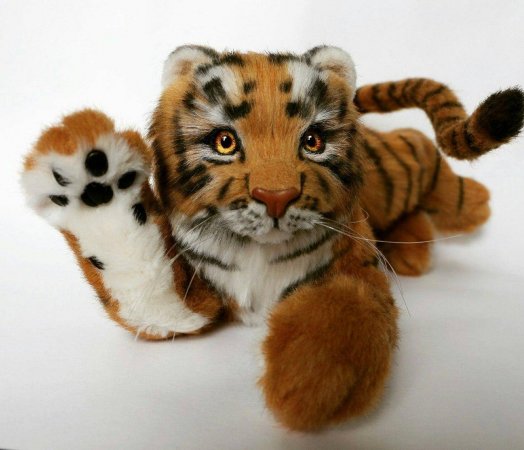 Teddy tiger Nolan
